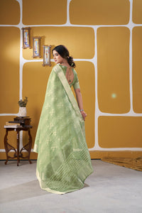 Pastel Pistachio Green Banarasi Silk Saree with Silver Zari Weaving