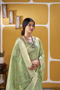 Pastel Pistachio Green Banarasi Silk Saree with Silver Zari Weaving