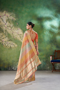 Pastel Multicolor Banarasi Silk Saree with Rich Golden Zari Weaving