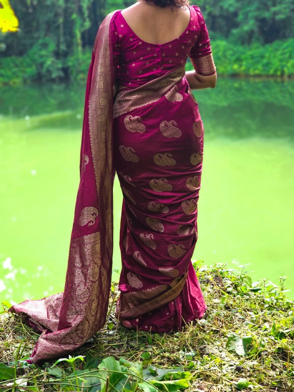 Elegant Magenta Silk Saree with Gold Zari Paisley Motifs
