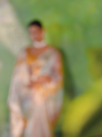 Mint Pastel Banarasi Silk Saree with Golden Zari Stripes